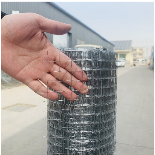 Welded Wire Mesh